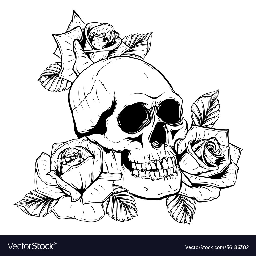 On white background skull and roses Royalty Free Vector