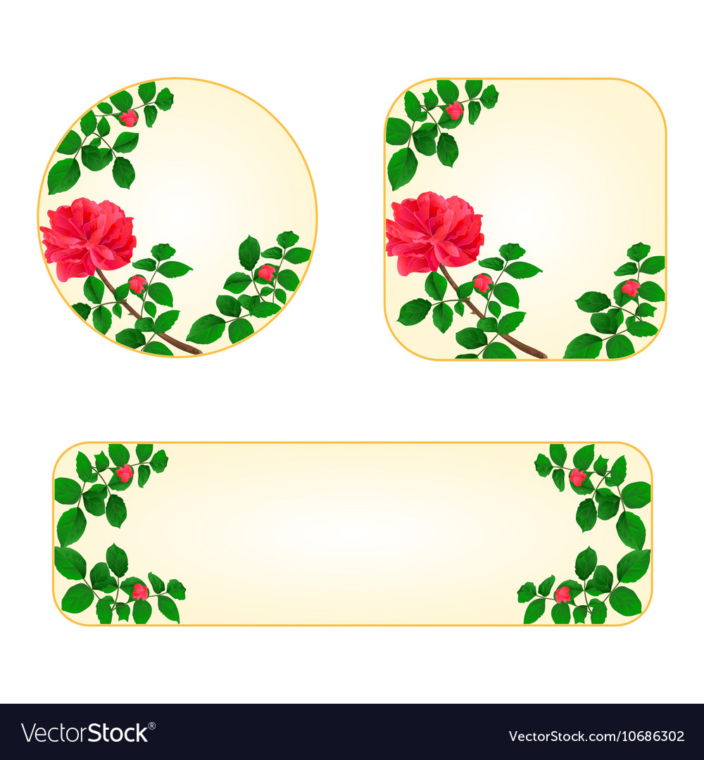 Rose banners and buttons with a flowers