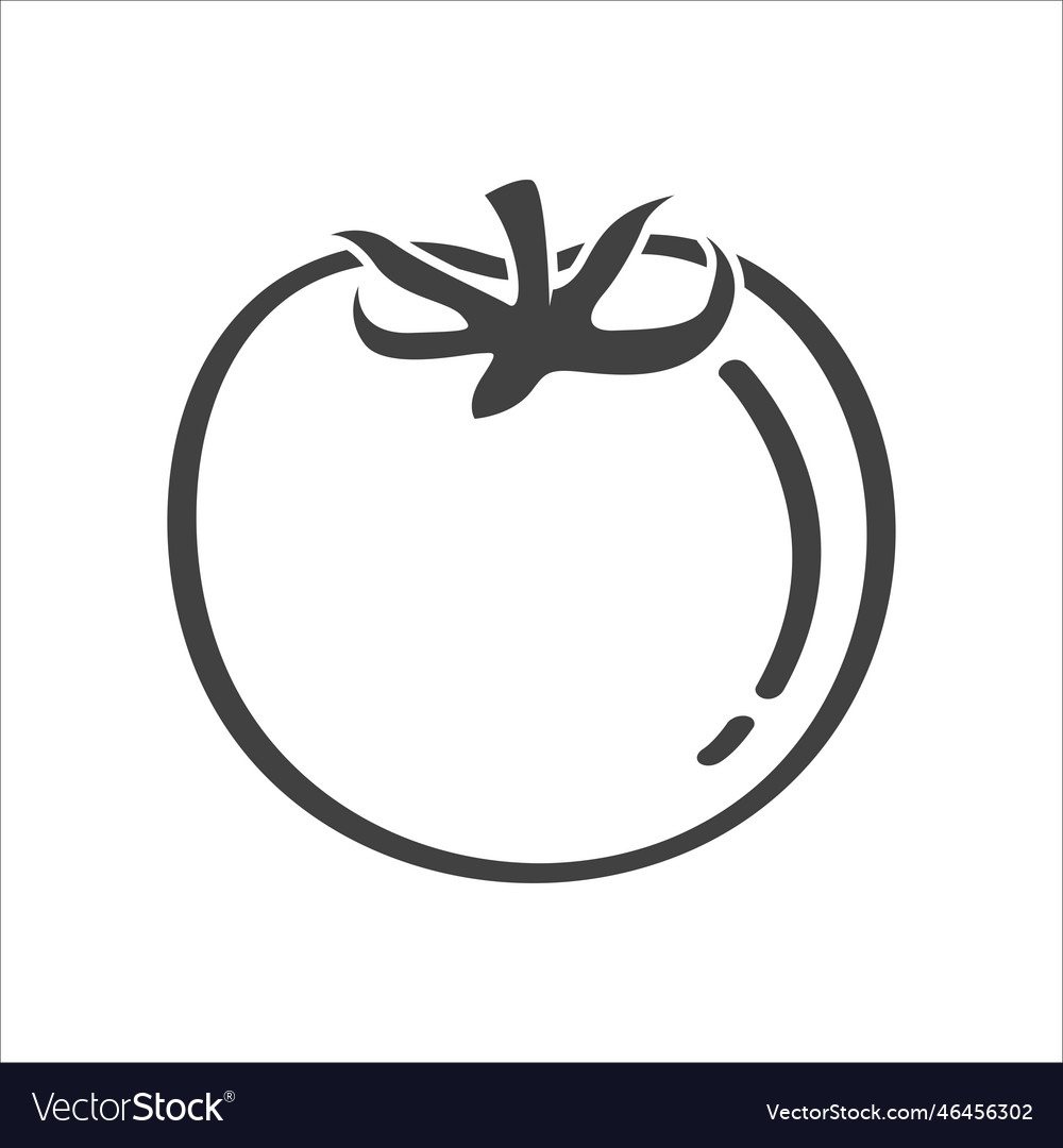Tomato vegetable icon in linear style