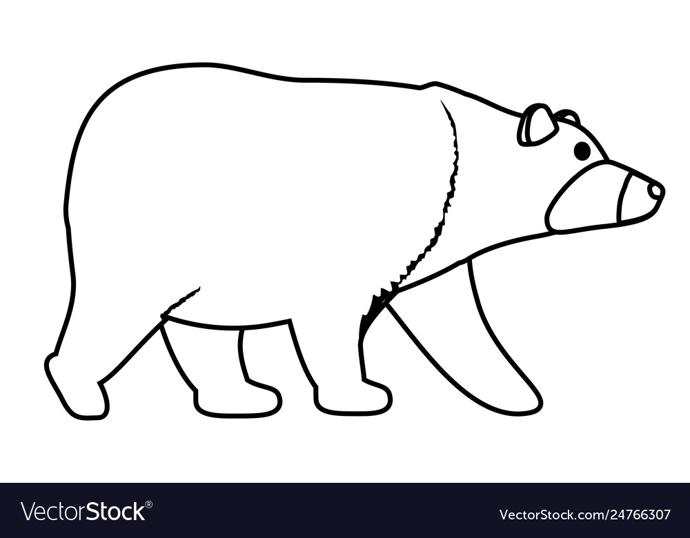 Wild bear cartoon Royalty Free Vector Image - VectorStock