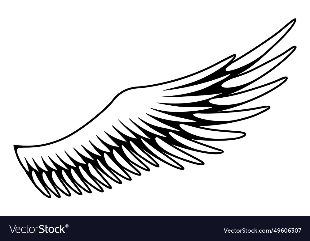 Wings sketch stylized birds hand drawn