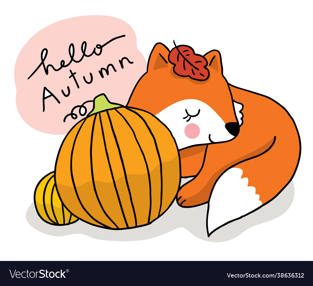 Cartoon cute hand draw fox sleep and big pumpkin v