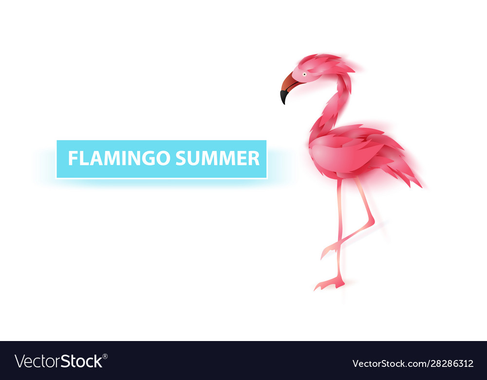 Sommerbanner mit Flamingo auf weiß