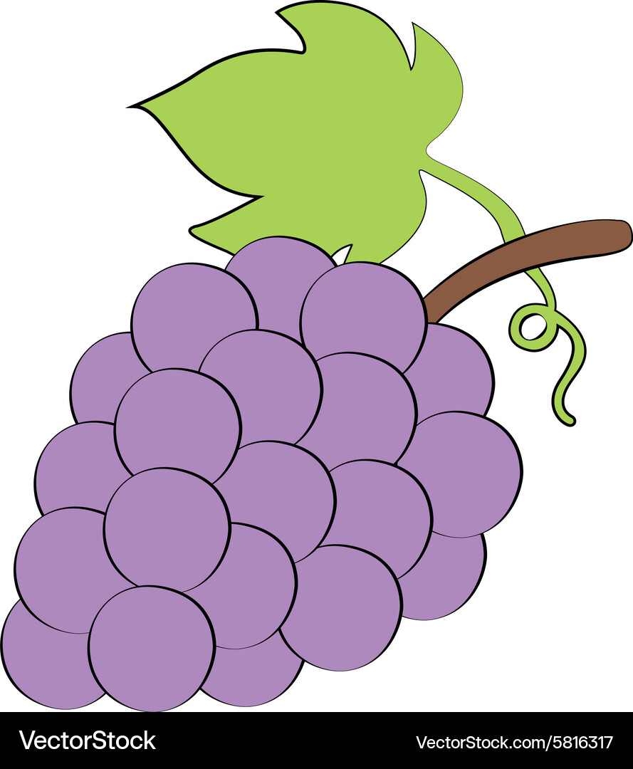 Grap Vector Grape Royalty Free Vector Image - VectorStock
