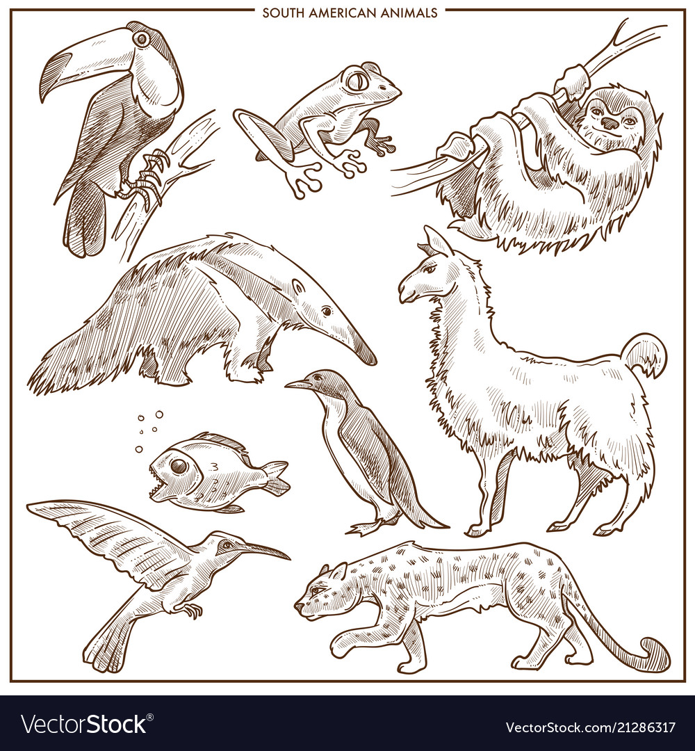 Forest animals and birds vector sketch Stock Vector | Adobe Stock