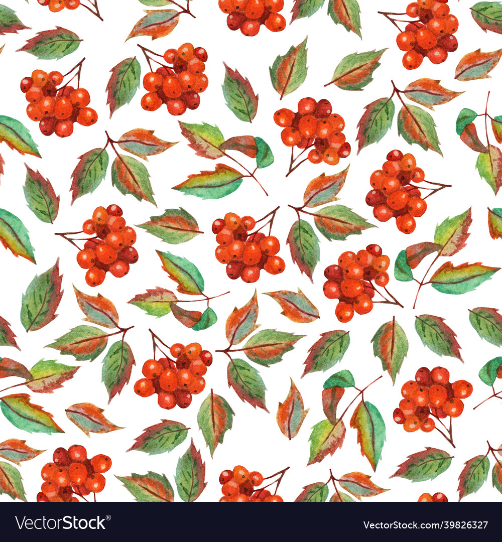 Autumn seamless pattern with rowan berries Vector Image