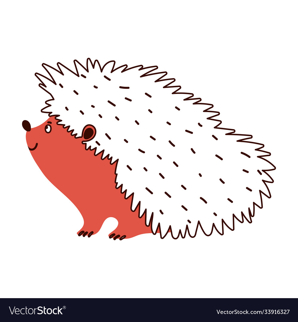 Hedgehog animal fauna isolated design white