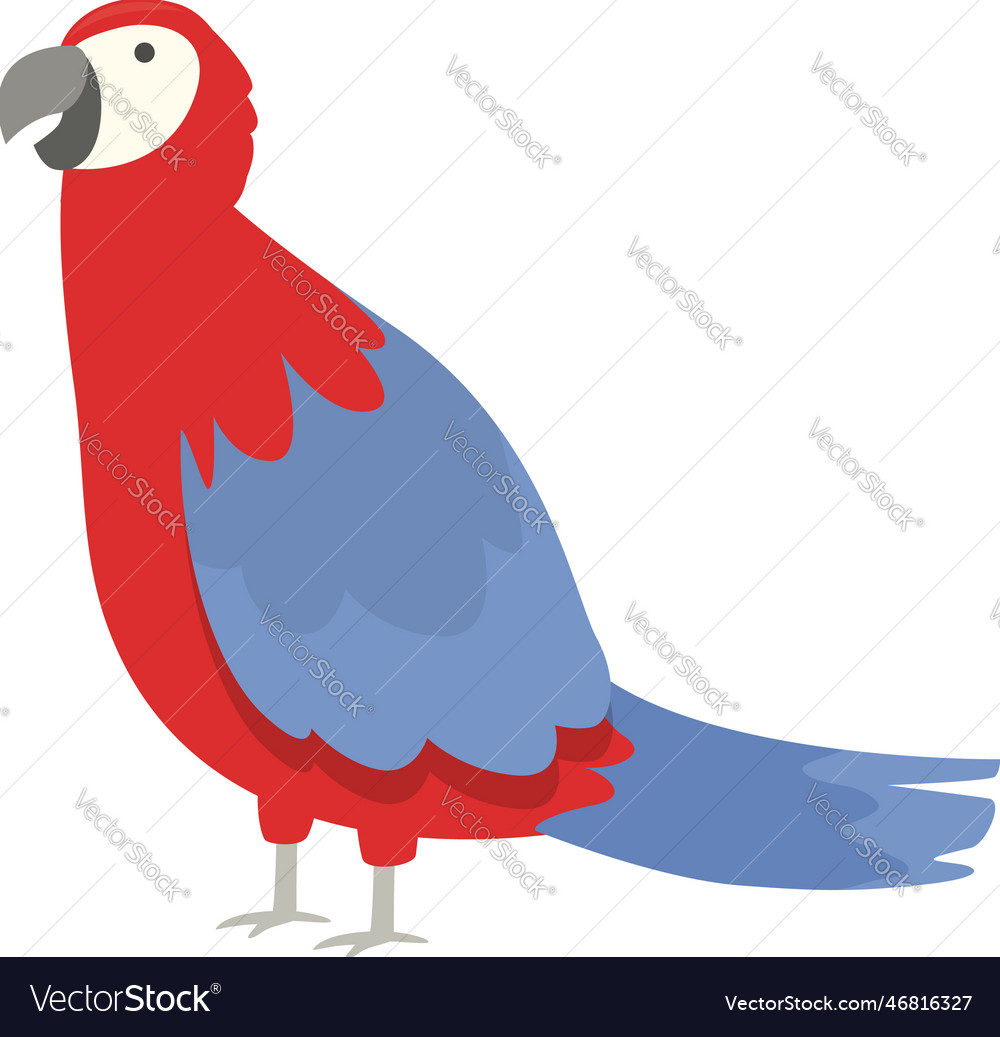 Zoo macaw icon cartoon nature bird Royalty Free Vector Image