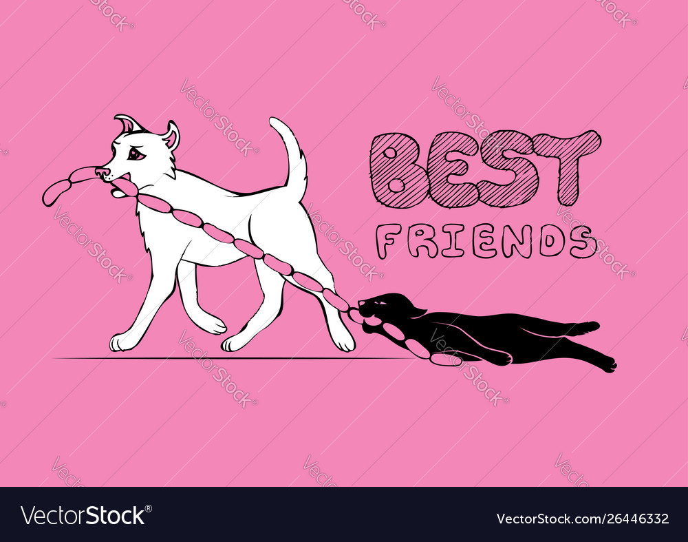 Cat and dog cartoon characters friendship sketch Vector Image Cat and dog cartoon characters friendship sketch Vector Image