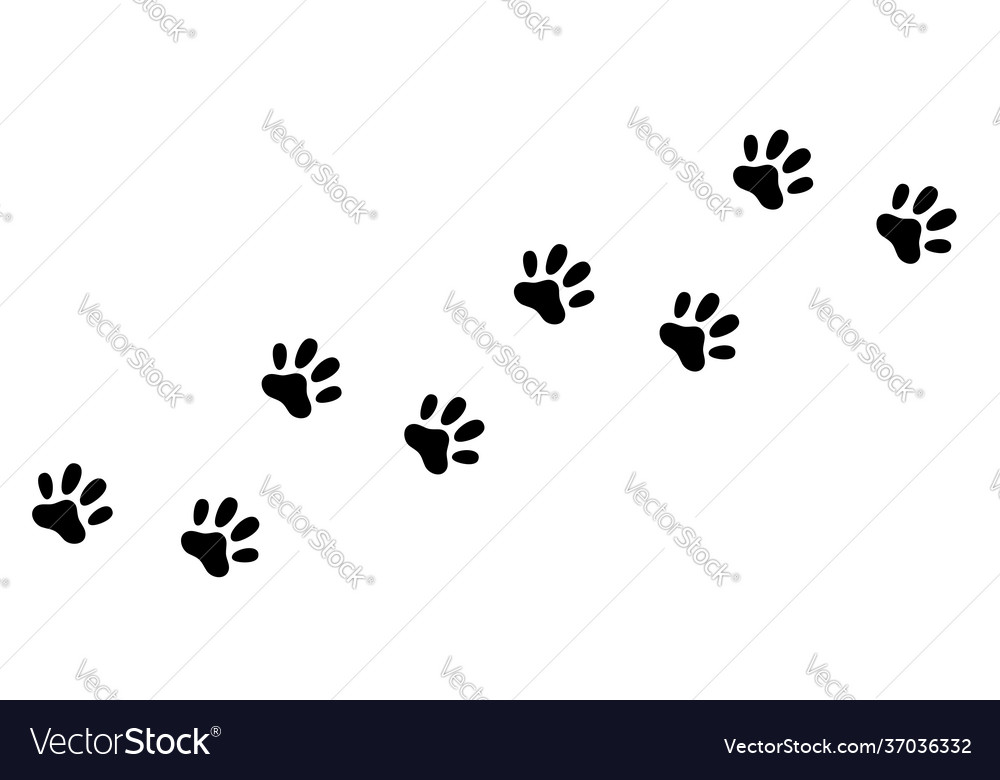 Cute Animal Paw Prints