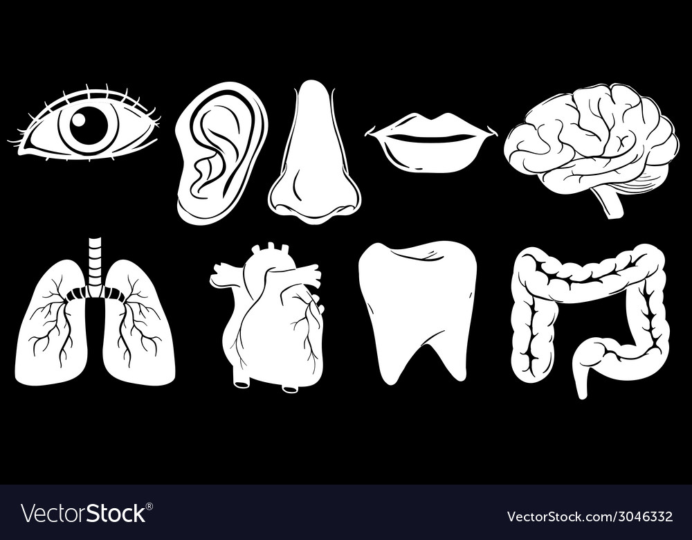 Different organs