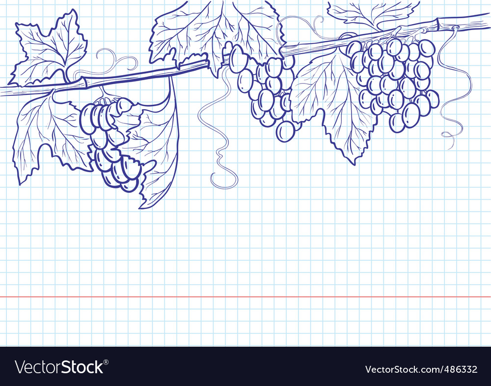 Elegant Grapevine Sketch