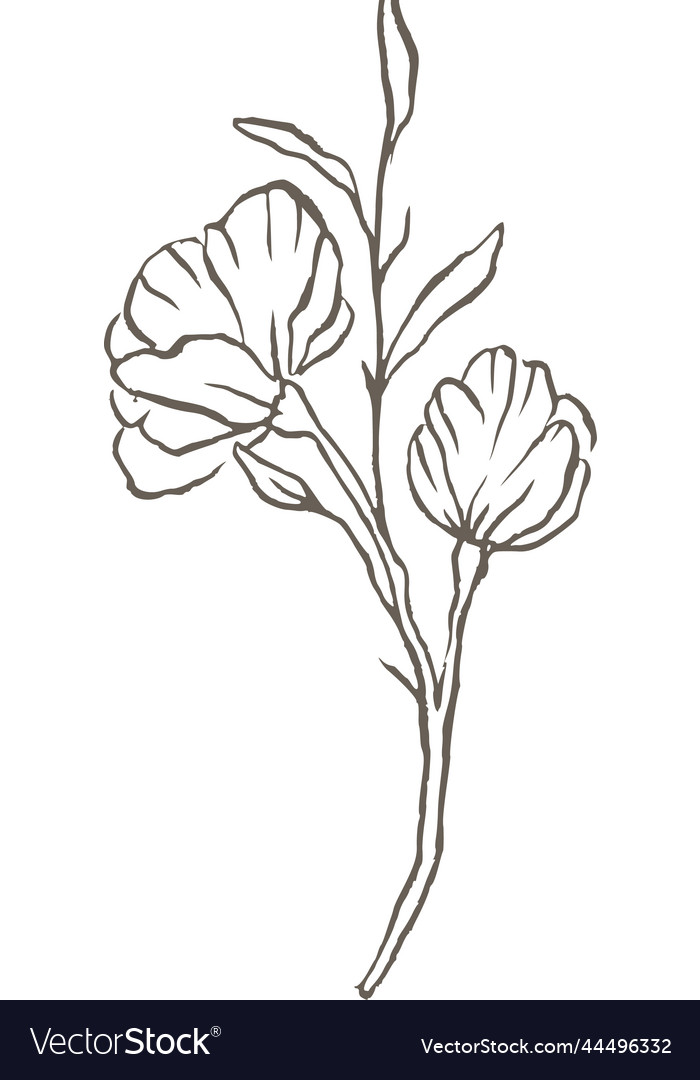 Magnolia flower line logo