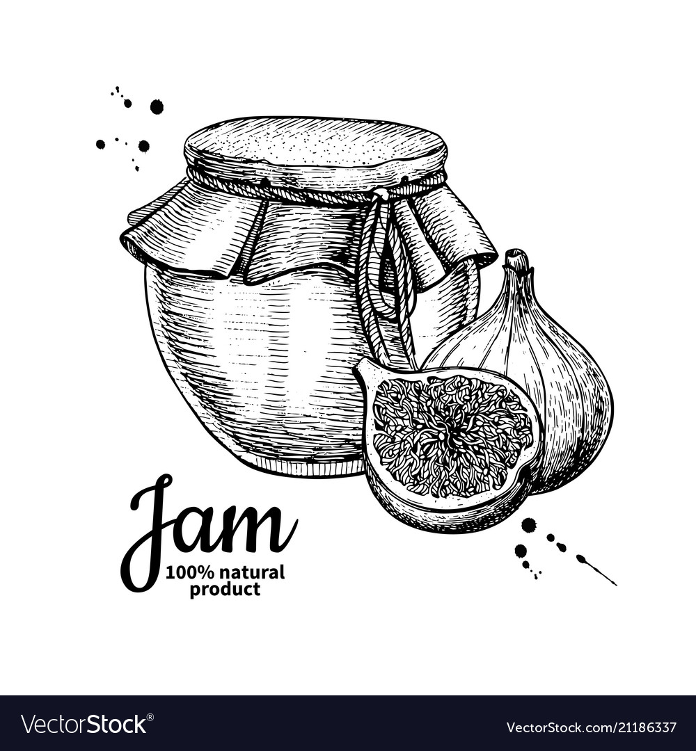 Download Fig Jam Glass Jar Drawing Fruit Jelly An Vector Image