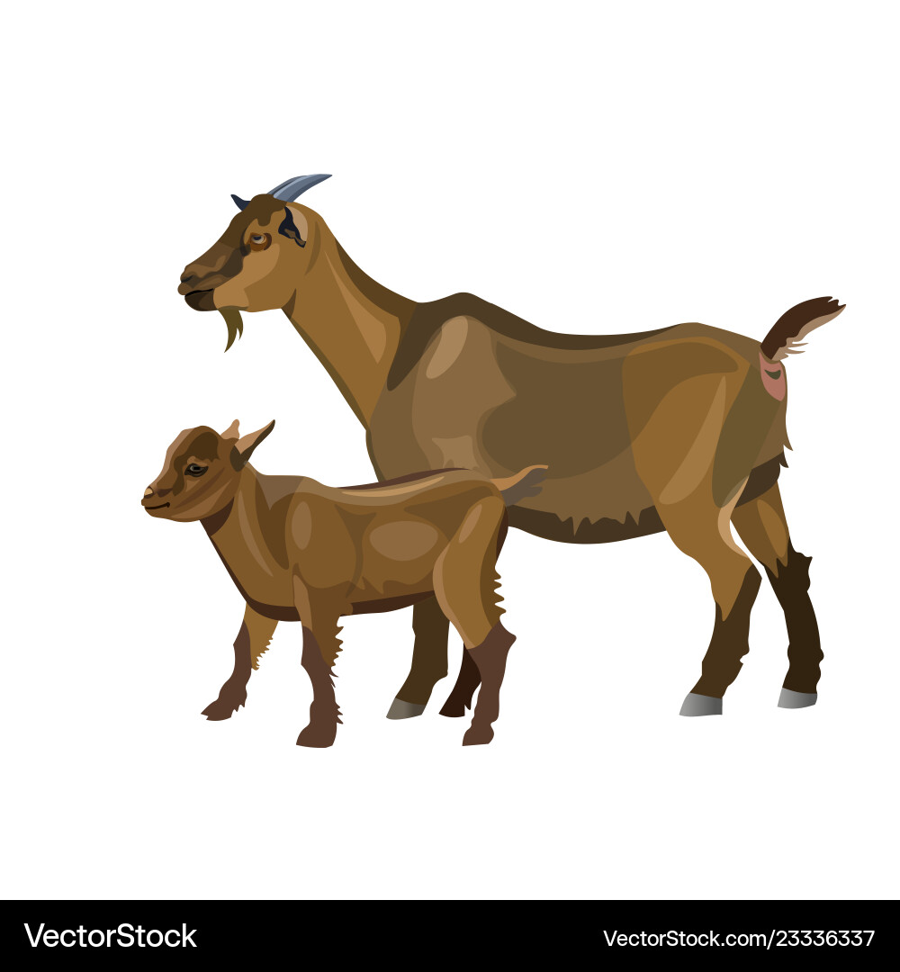 Mother goat and her kid Royalty Free Vector Image