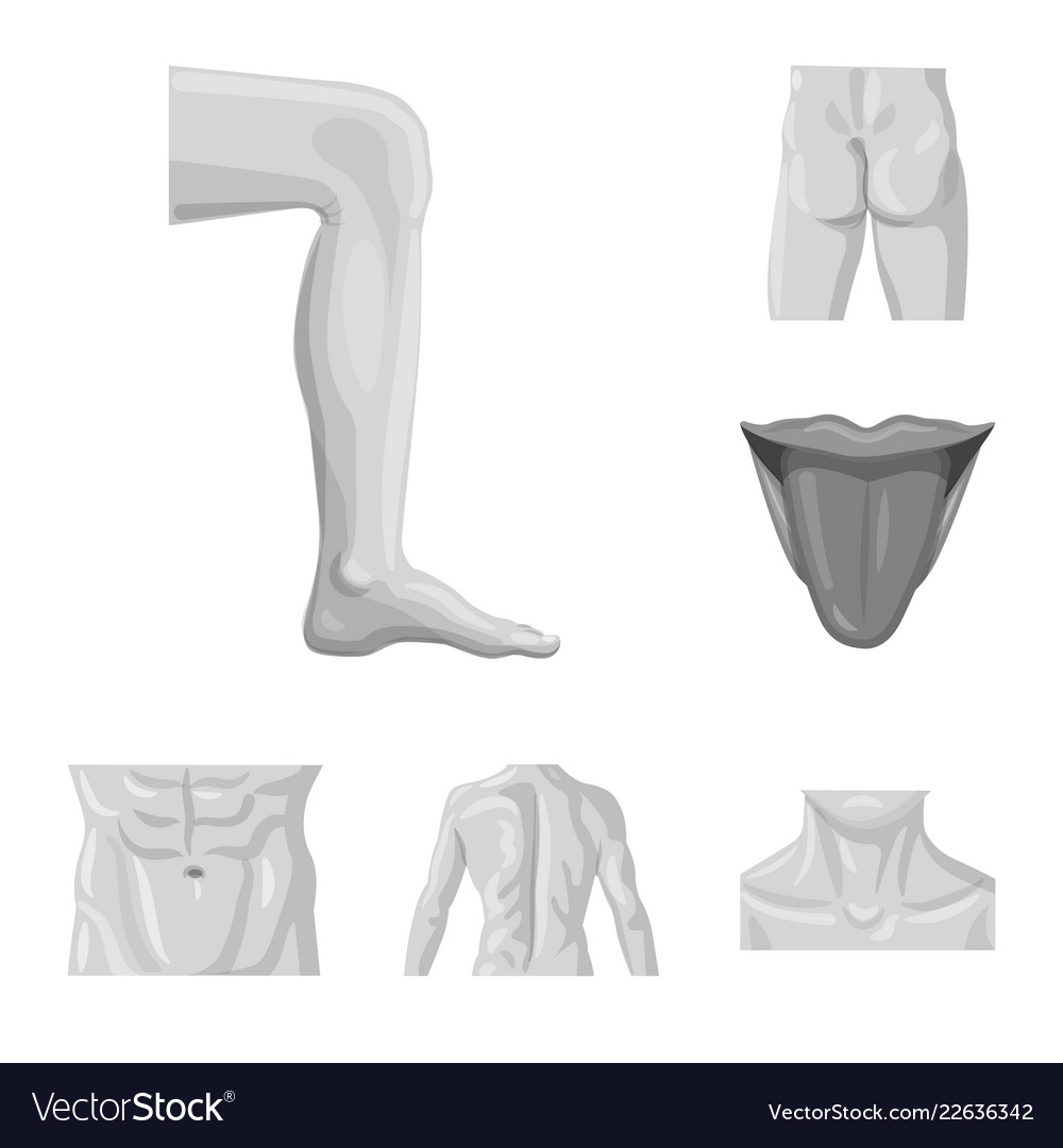 Isolated object of human and part symbol vector image Isolated object of human and part symbol