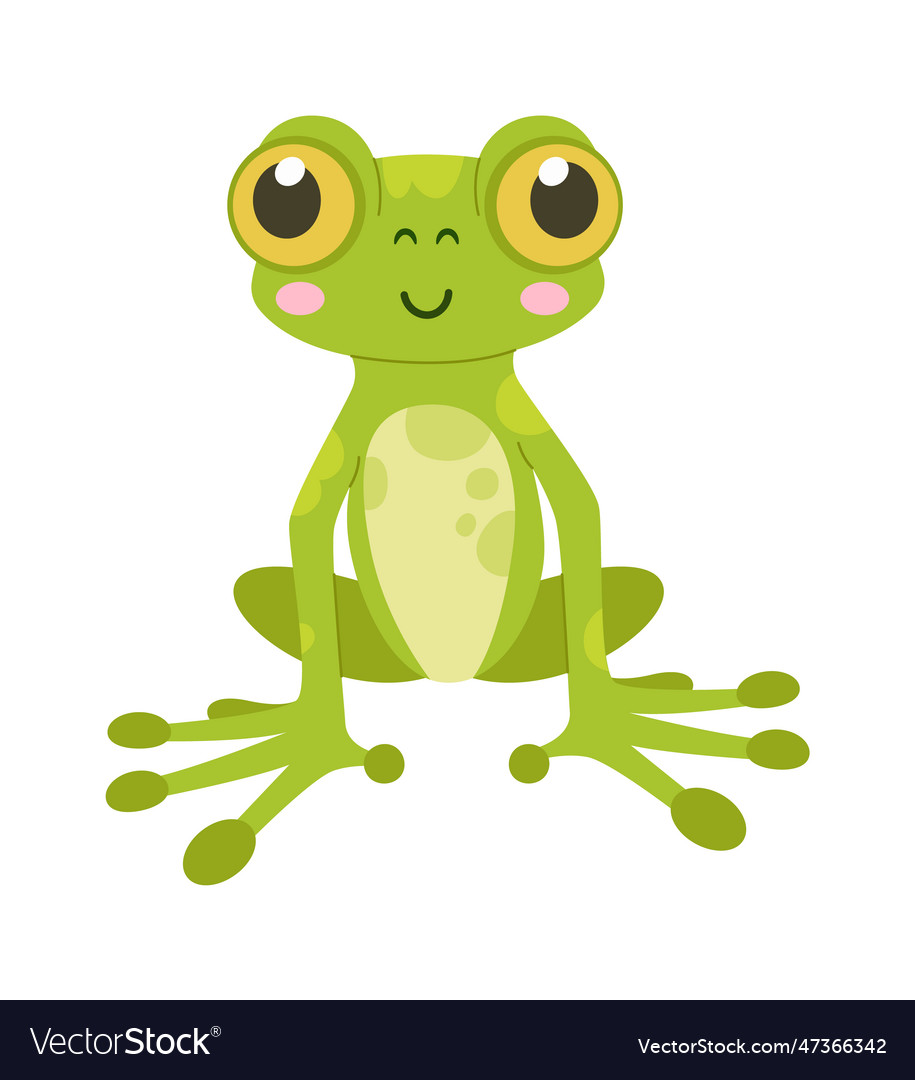 Sitting frog amphibian Royalty Free Vector Image