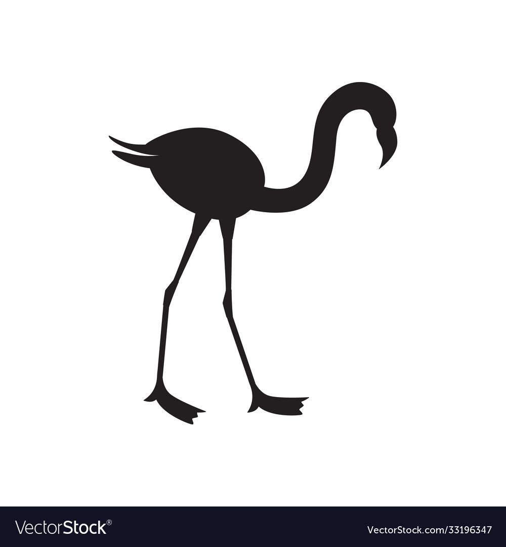 Black flamingo silhouette from side view isolated