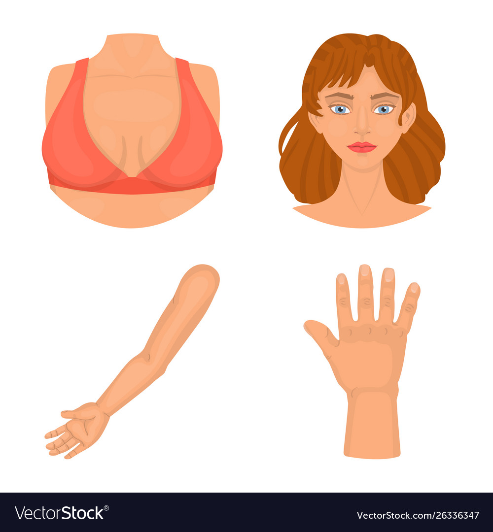 Design body and part symbol set vector image Design body and part symbol set