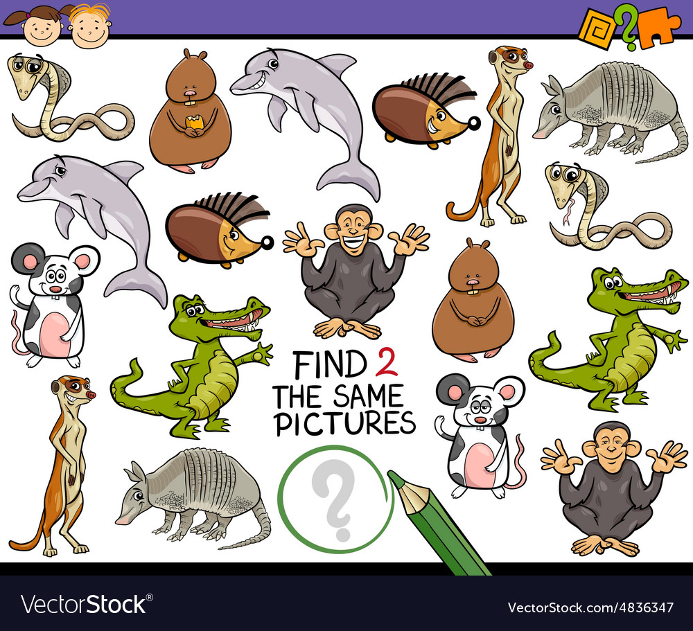 This is the same picture. Find the same cards. find 2 the same. memory finds the same.