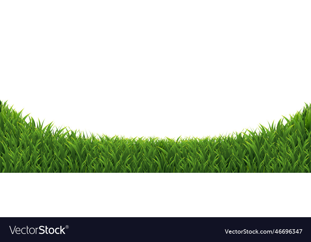 Green grass border with white background Vector Image