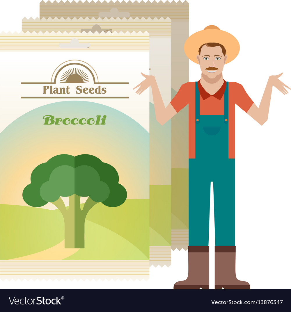 Pack of broccoli seeds icon