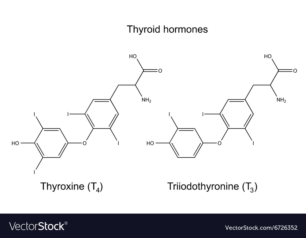 Chemical Formulas Thyroid Hormones Royalty Free Vector Image