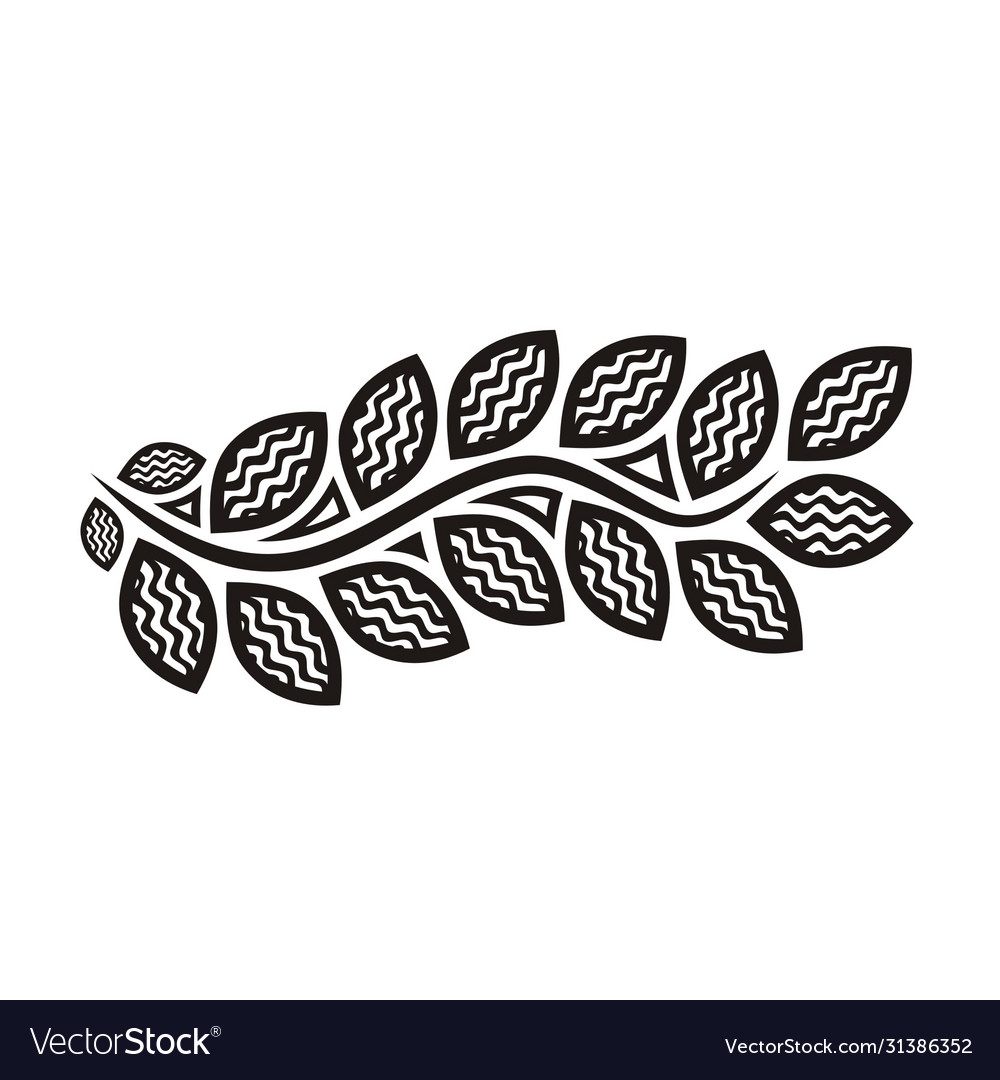 Decorative pattern branch vector image Decorative pattern branch