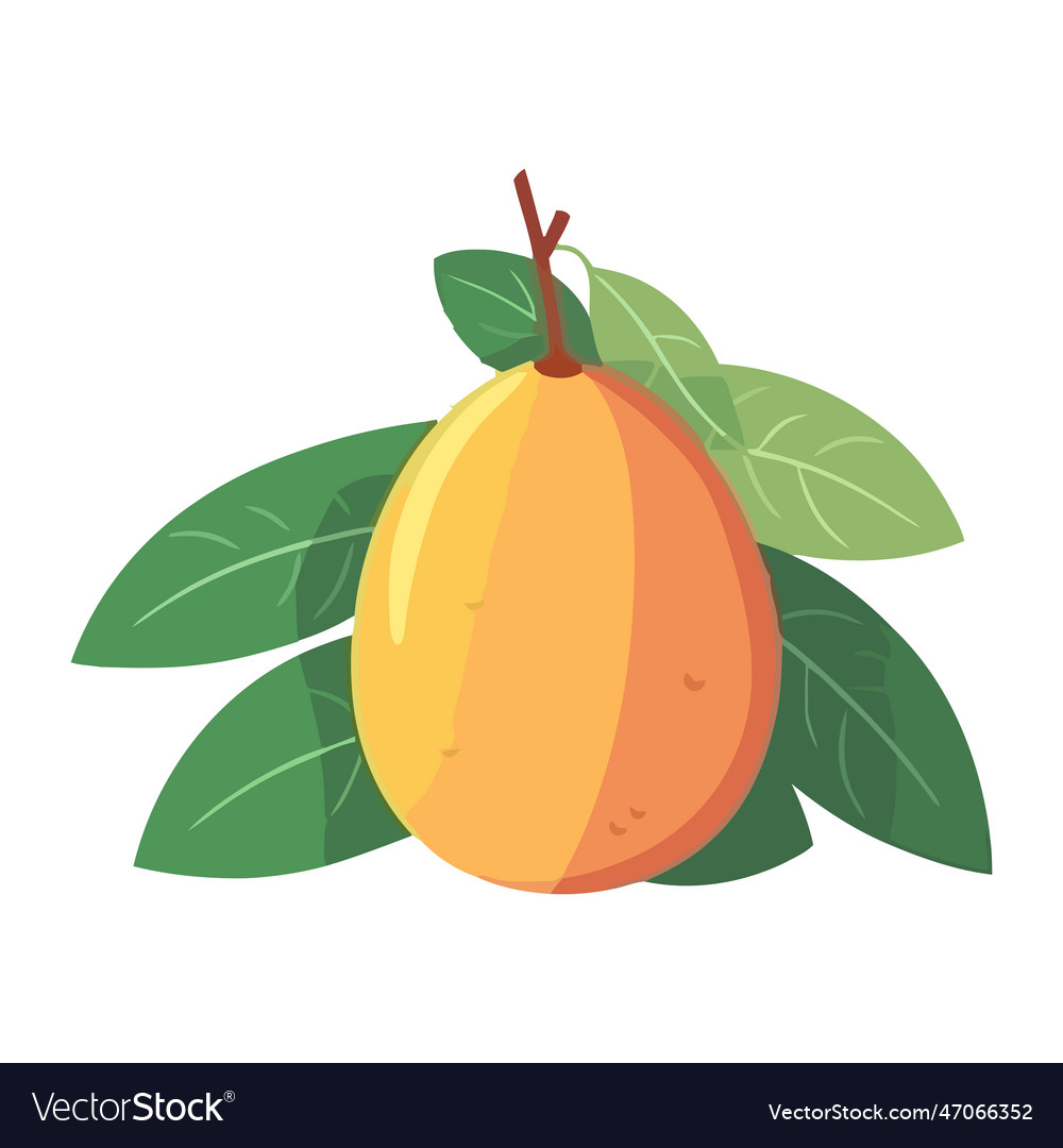 Fresh organic mango