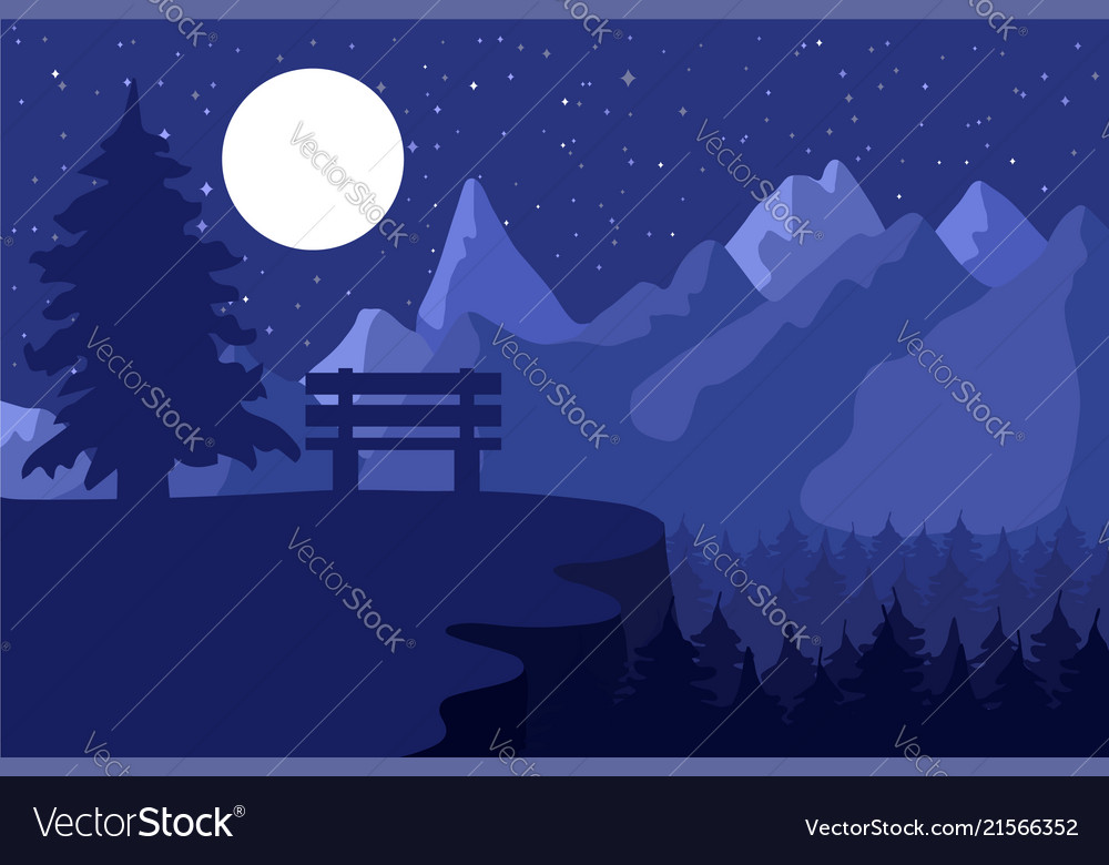 Park bench in the night coniferous forest