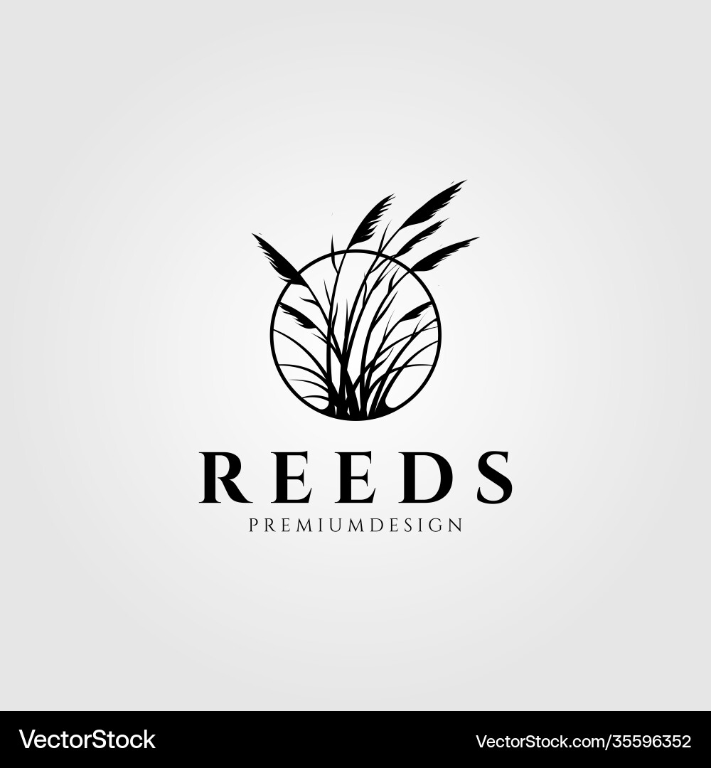 Reeds logo aquatic plant design Royalty Free Vector Image