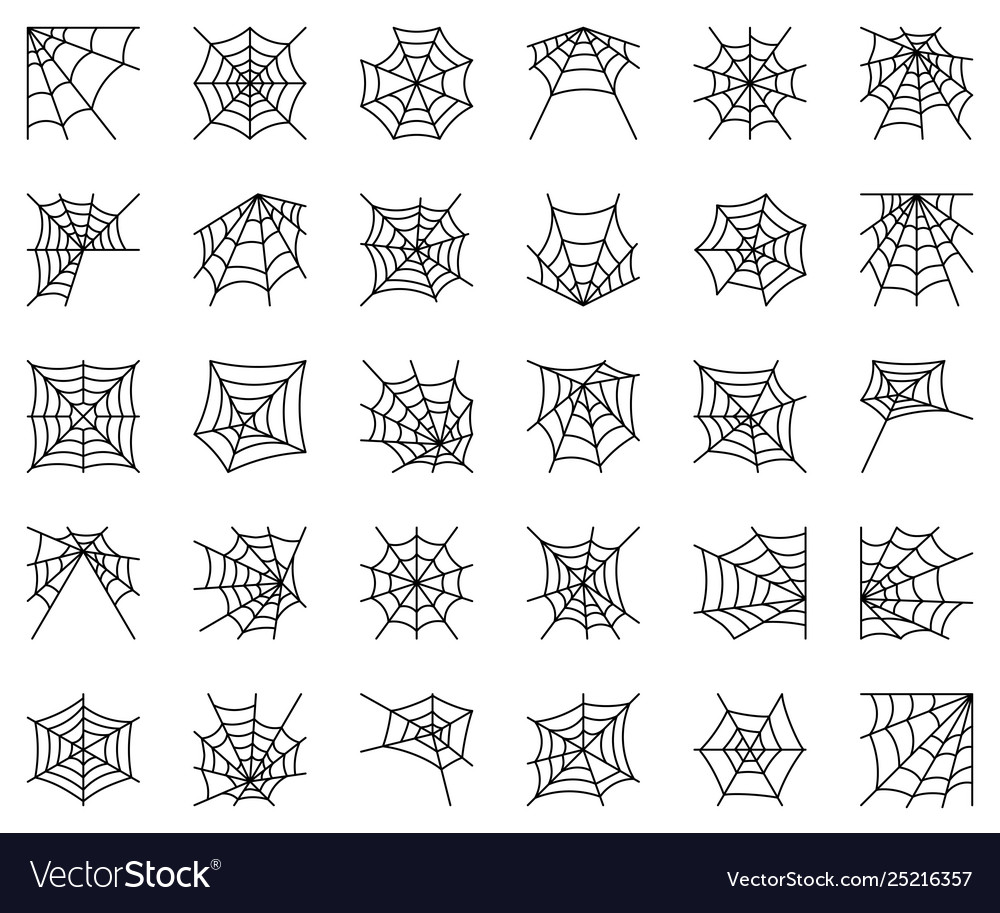 Spiderweb set different type cobweb