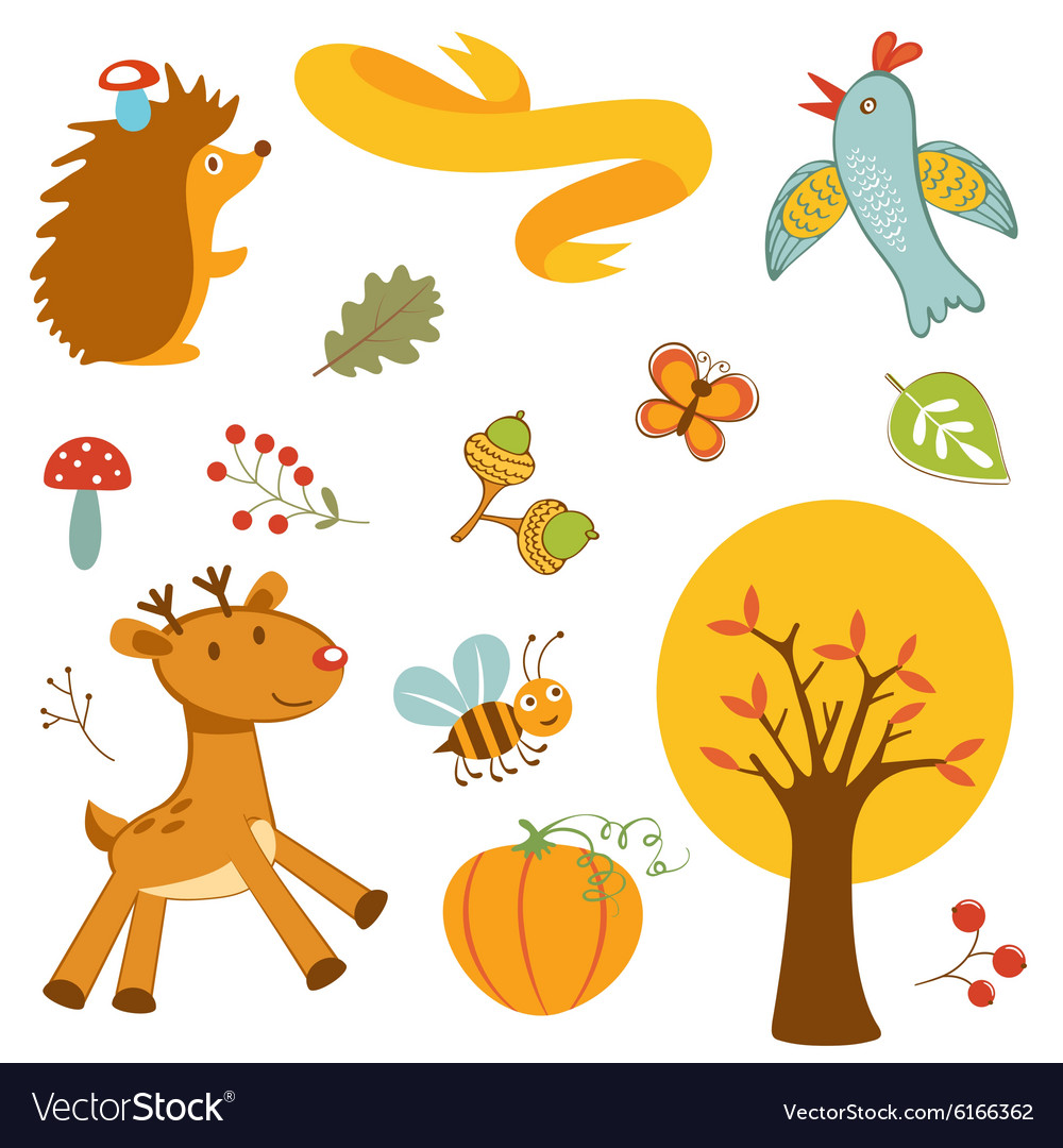 Cute forest animals colorful collection