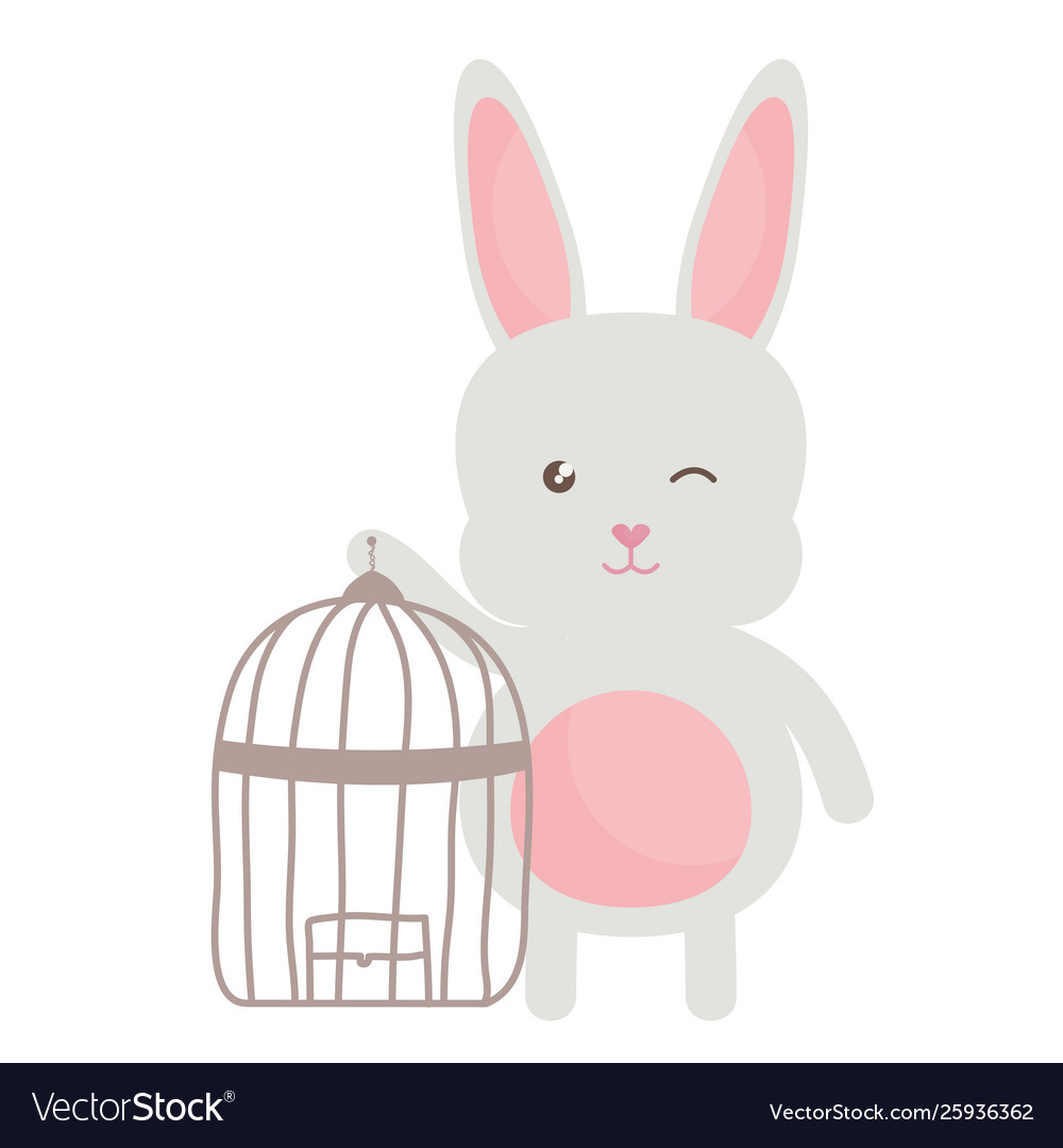 Cute little rabbit with cage bird