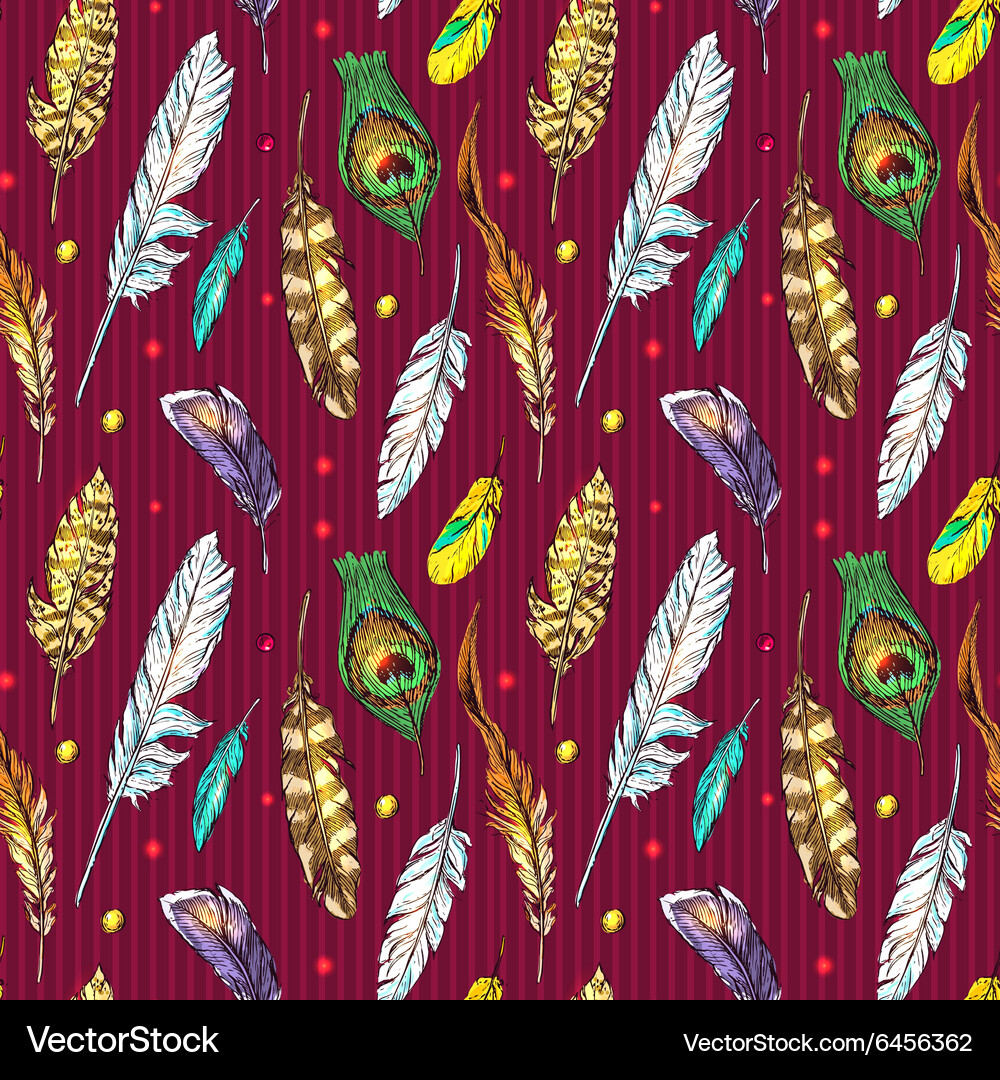Feathers boho style Royalty Free Vector Image - VectorStock