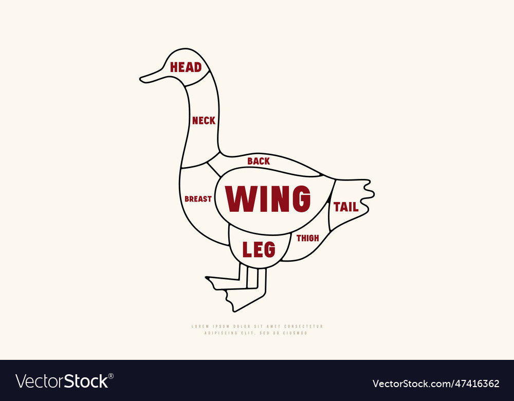 Goose cuts diagram in thin line style Royalty Free Vector