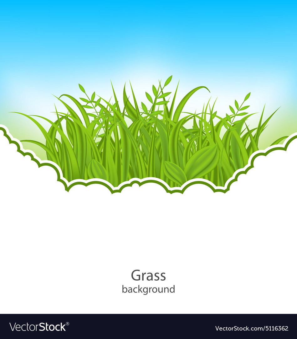 Sommer natürliche Postkarte mit grünem Gras