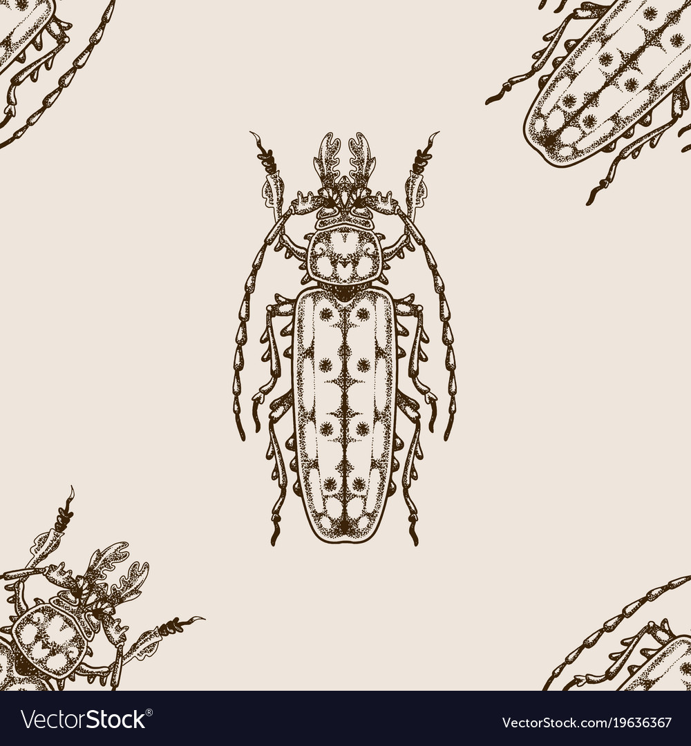 Bug seamless pattern