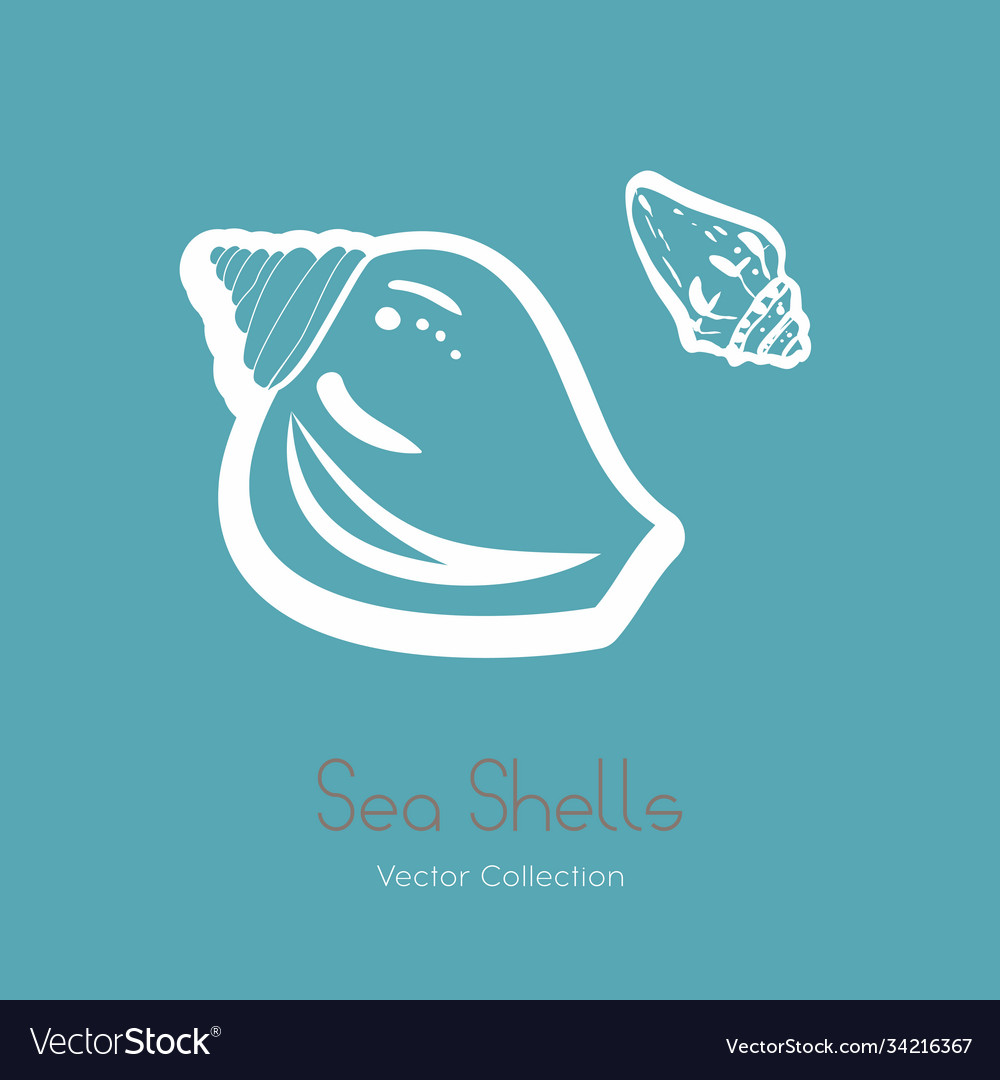 Fossil ammonite nautilus seashell logo set