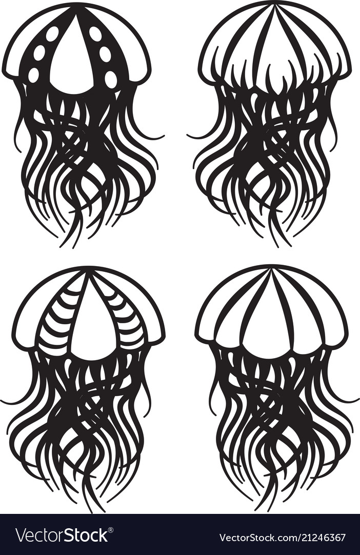 Set of drawings jellyfish