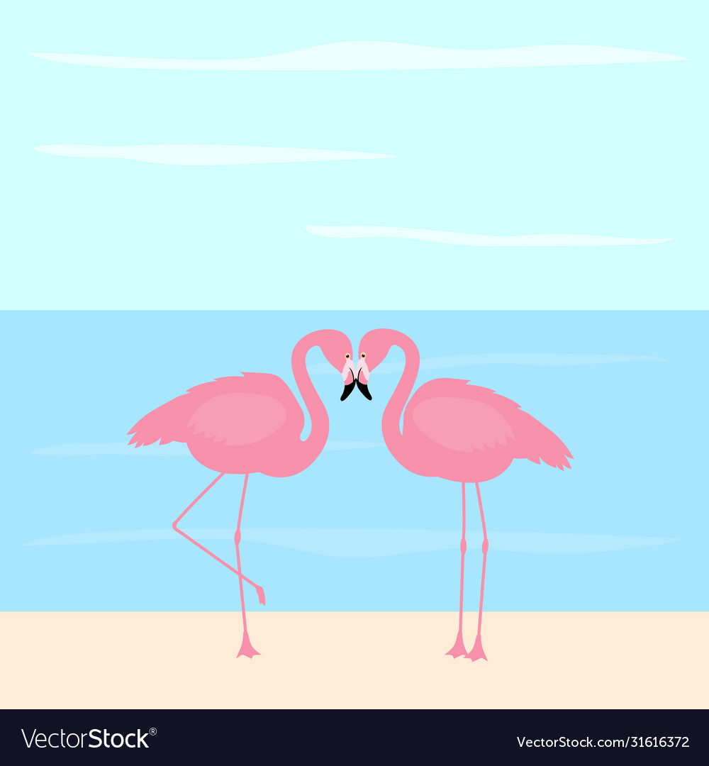 Greeting card flamingo birds tropics