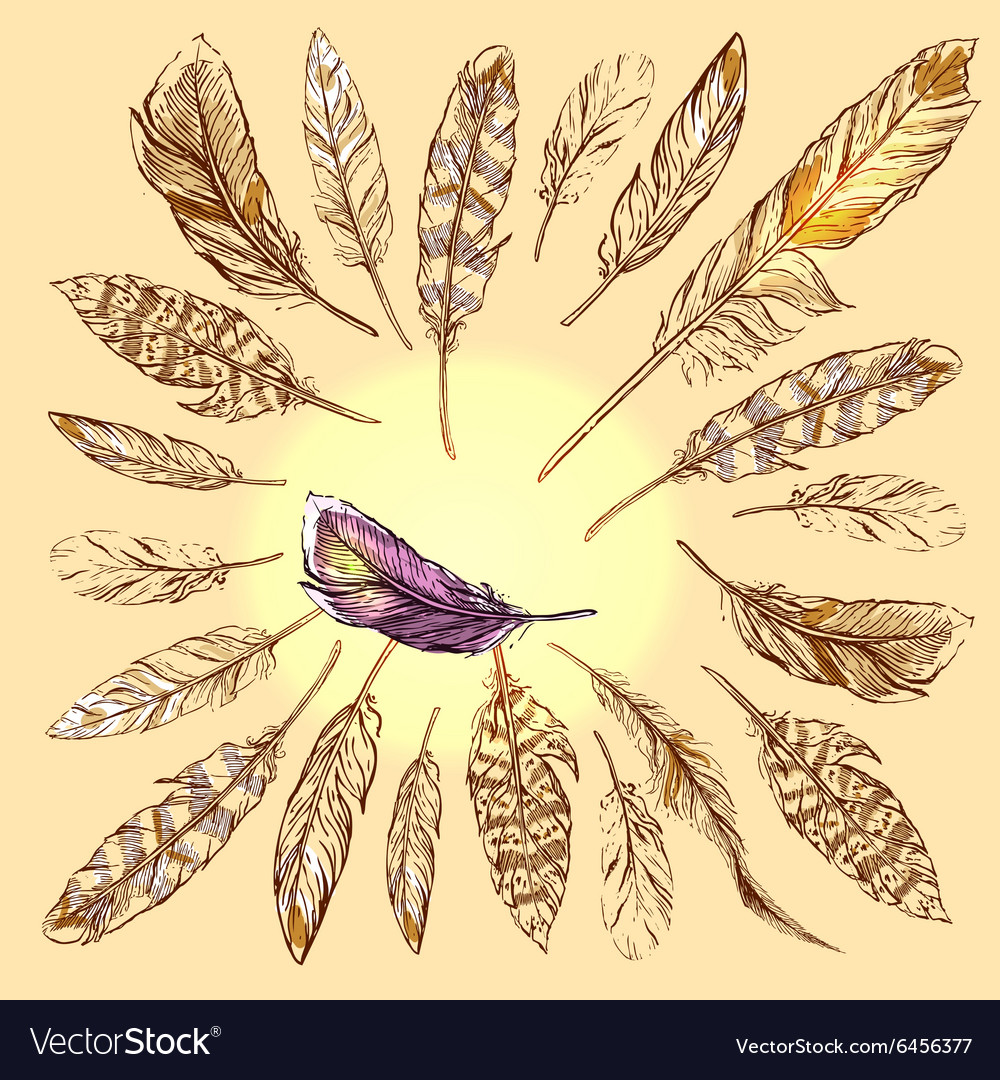 Feathers boho style
