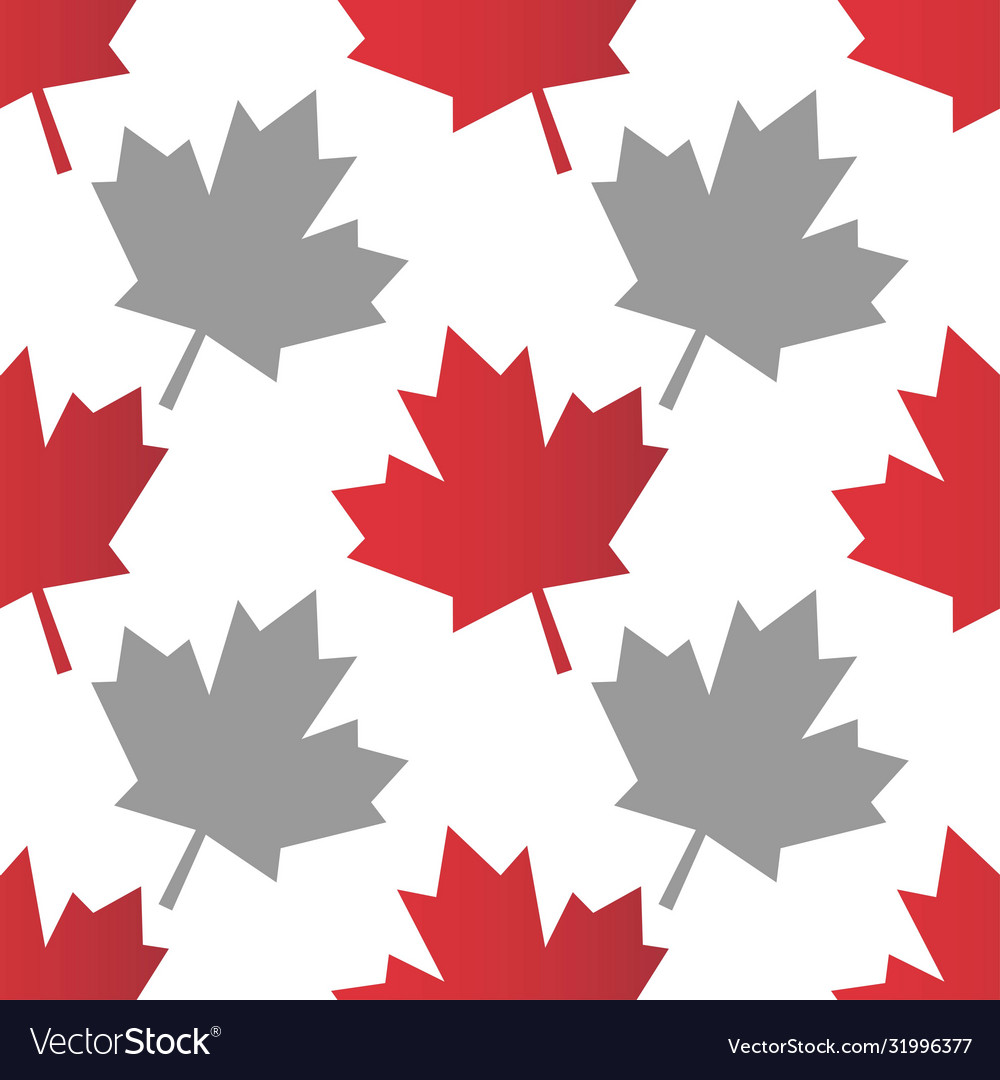 Seamless pattern background with canadian maple vector image Seamless pattern background with canadian maple