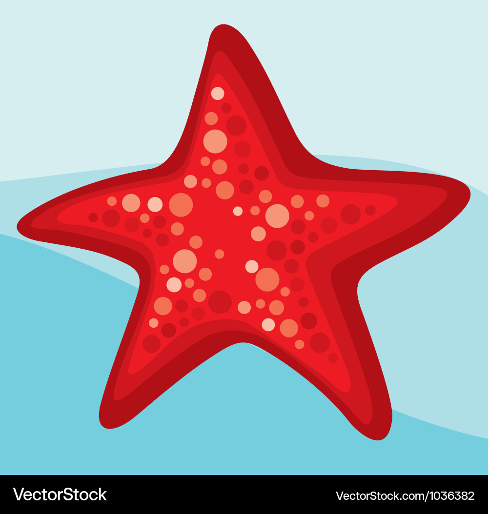 Star Royalty Free Vector Image - VectorStock