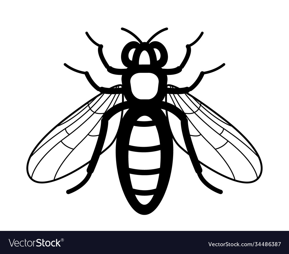 Bee insect contour icon Royalty Free Vector Image