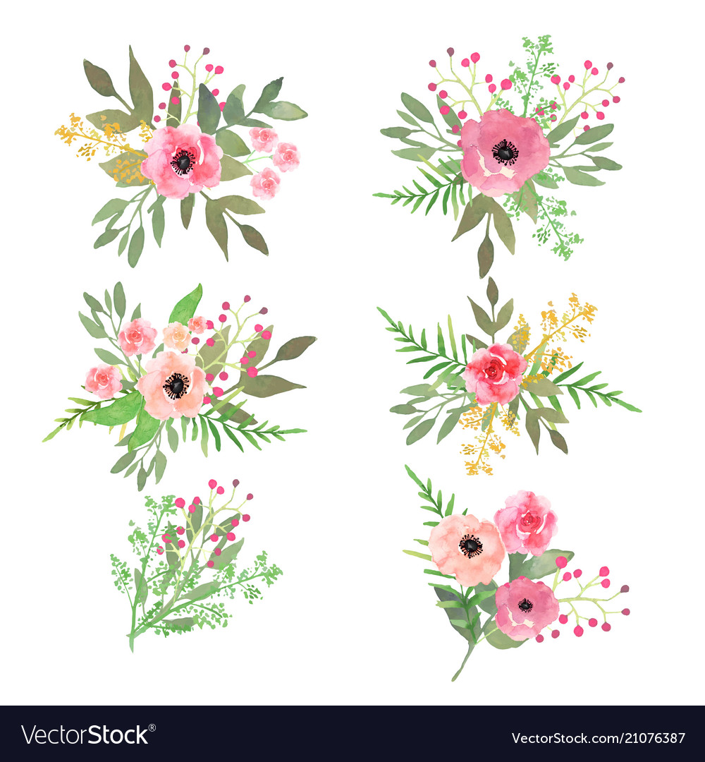 Floral set collection with flowers drawing Vector Image