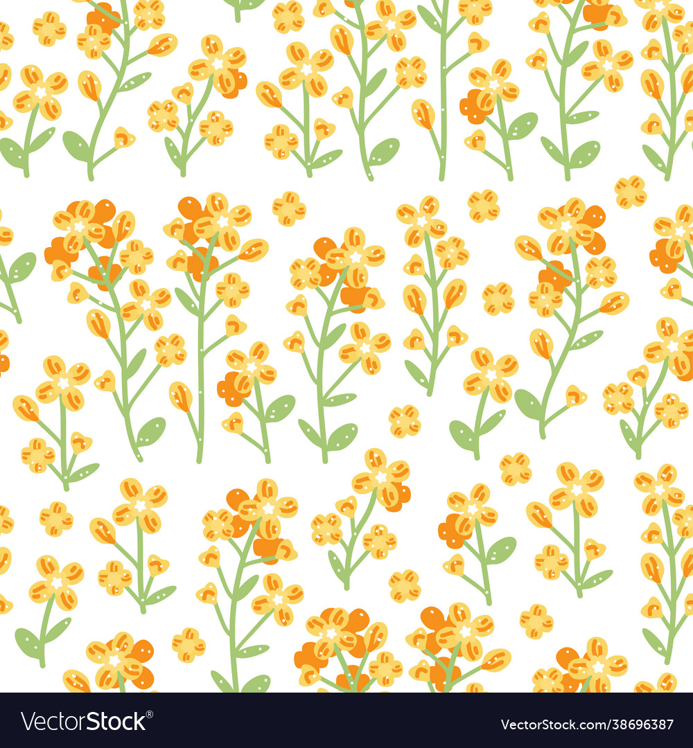 Rapeseed pattern on white background hand