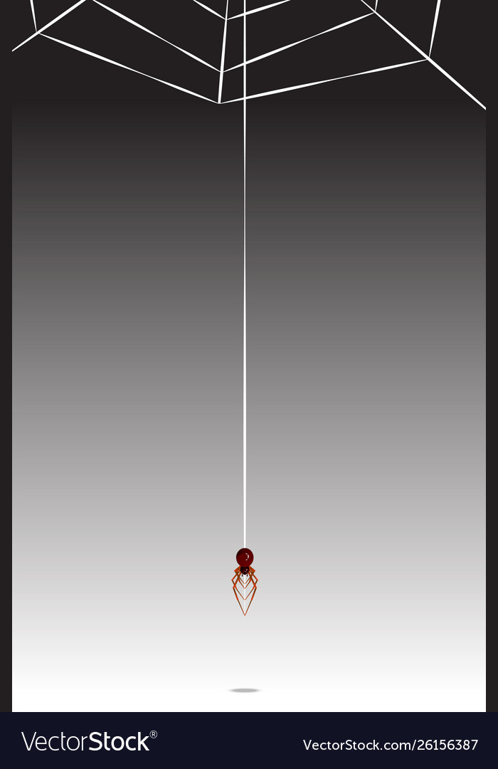 Spider cobweb Vector Image Spider cobweb