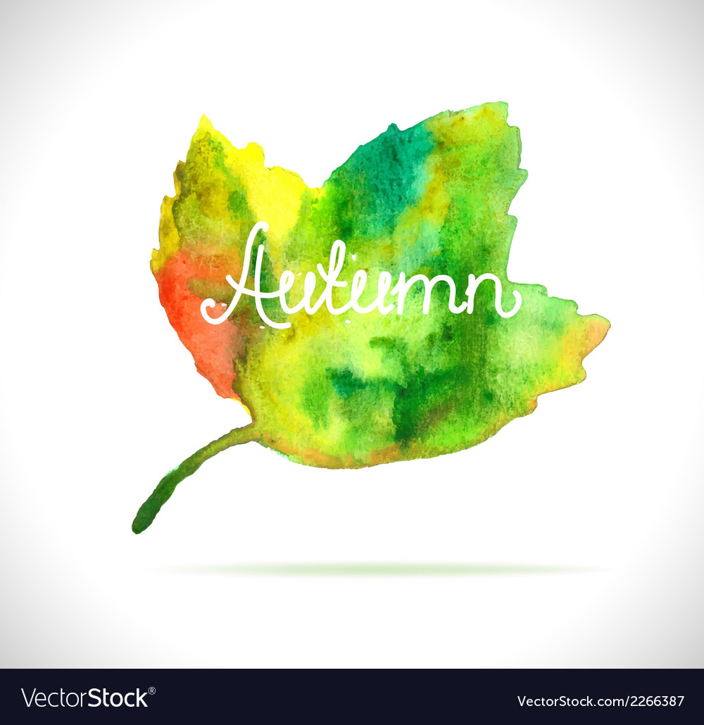 Watercolor leaf design element