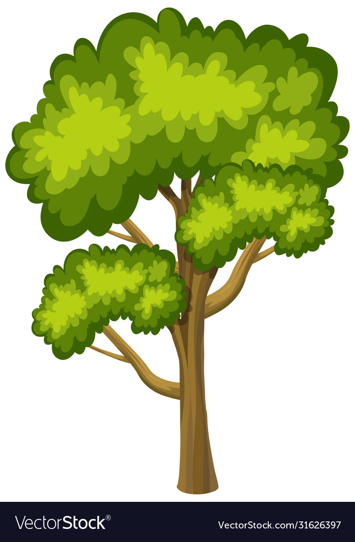 One big tree on white background Royalty Free Vector Image